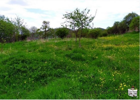 Land for sale in Betania