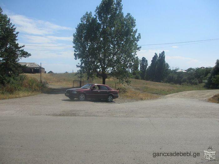 Land for sale in the village of Orbeti, near the Manglisi - Tbilisi highway.