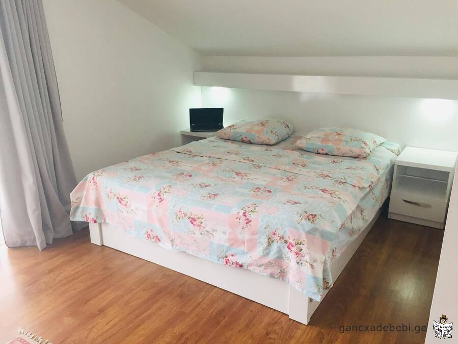 RENT IN BORJOMI, TSEMI