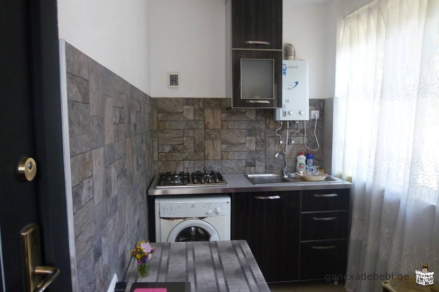 RENT IN BORJOMI, TSEMI