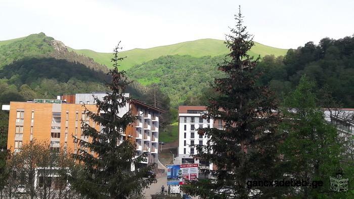 Rent apartments in ORBI Palace II near the Didveli ski lift