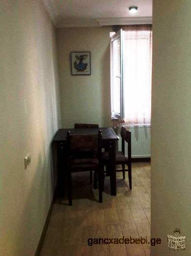 Rent one-room apartment in the center of Batumi