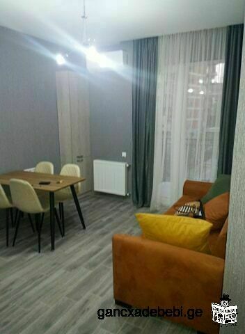 Renting an apartment on Kikvidze Park !