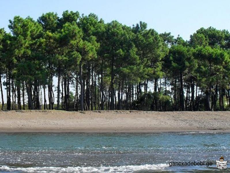 Shekvetili beach, Kaprovani 400 square metre.