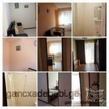 The apartment in Vake,Tbilisi