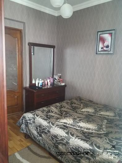 The flat for daily rental for 40$ in the city center