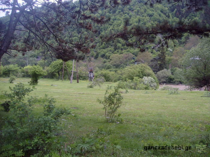 The plot with perspective position in borjomi