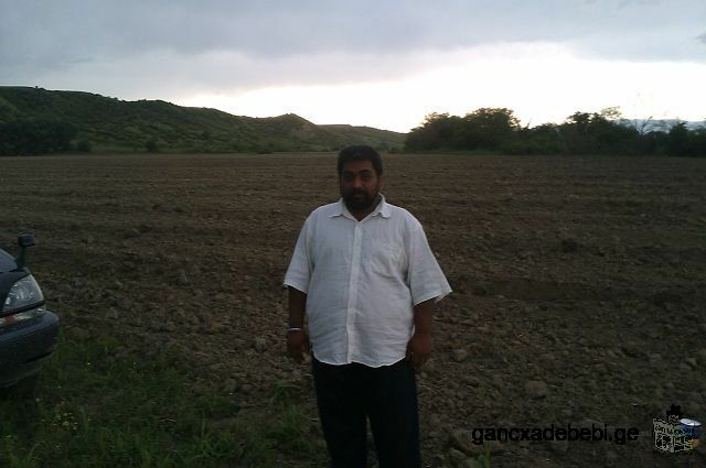 agriculture land for sale in Kakehti region