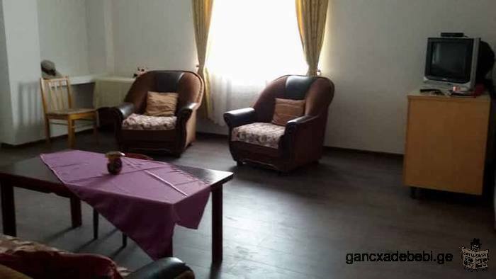 for Rent rooms in Surami