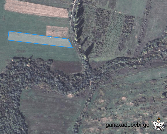 land for sale, in village Jighaura near new settlement