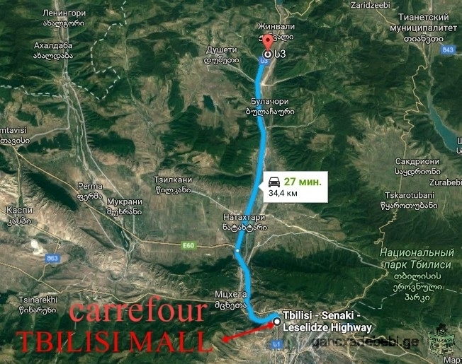 sale plase in village aragvispiri. 20 minutes road from tbilisi.