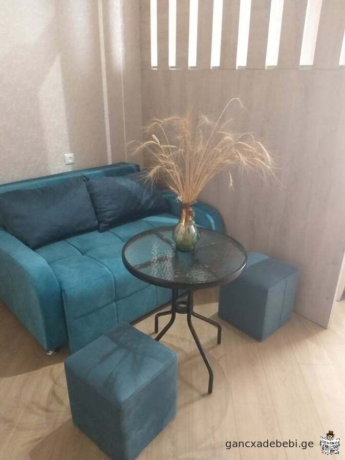 #Appartement Quotidien #Isani Tél: 597788428 / 90GELლ /