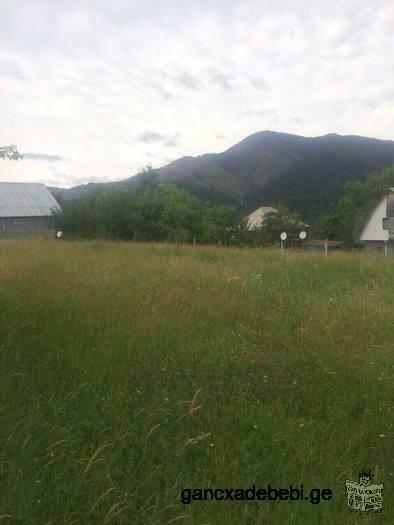 A vendre dans le quartier de Borjomi, village village de Mamazze, 4km terrain agricole 1726 m² est p
