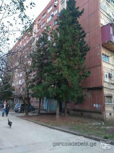 Appartement à vendre à Bukhaidze