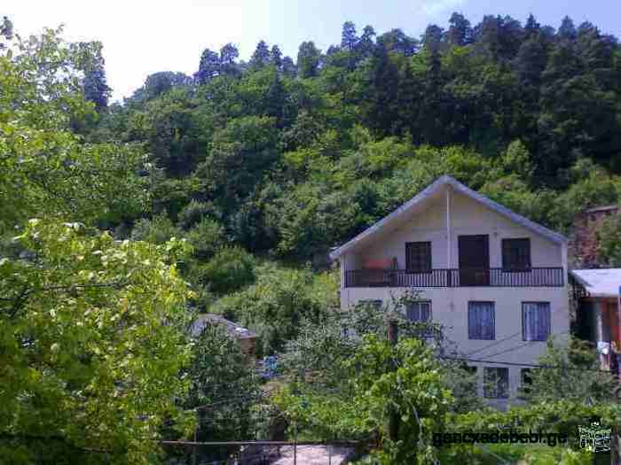 Maison à louer à Borjomi