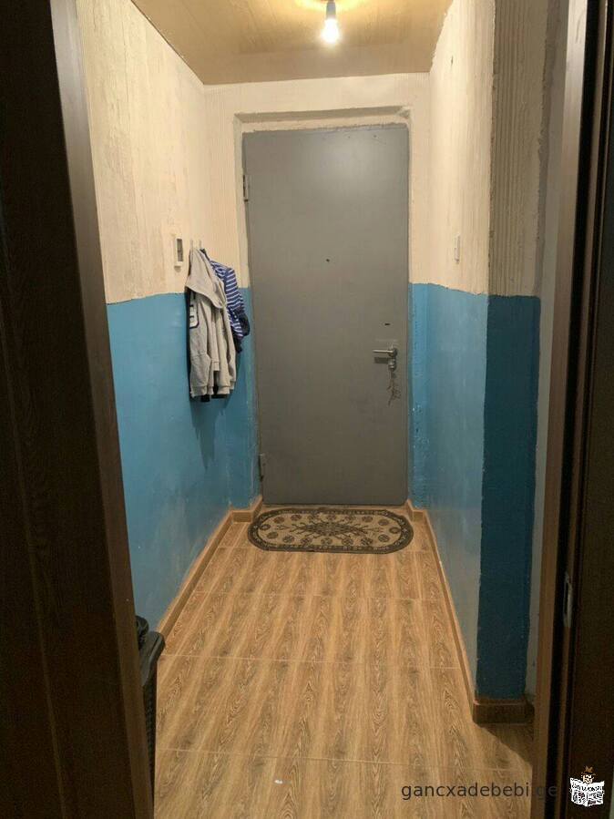 აბასთუმანში (არაზინდო) ქირავდება კეთილმოწყობილი 1,5 ოთახიანი ბინა