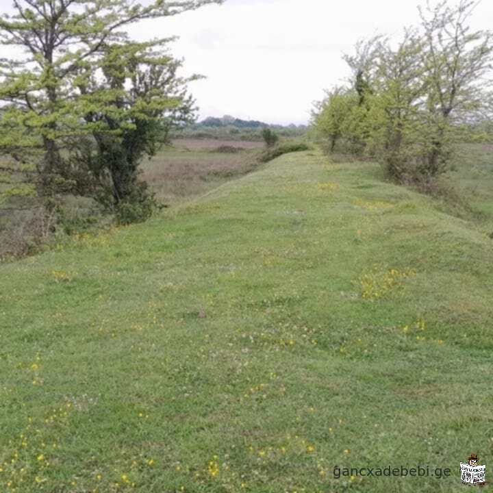 iyideba 16 heqtari miwis nakveTi samtrediis raion sofel baSSi