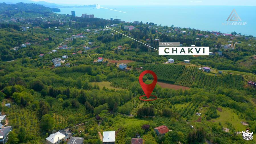 Земля НЕсельхоз назначения в Чакви, около Батуми.