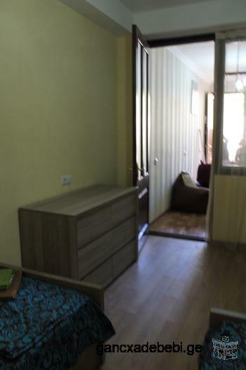 Посуточная аренда квартиры в центре Тбилиси (Площадь Свободы,улица Александра Дюма)