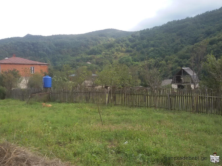 Продается в лучшем месте, Харагаульский муниципалитет, село Усадебный участок 673 кв.м в Борите