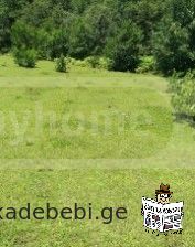 Продается земельный участок в селе Дзукнури Ткибулийского района.